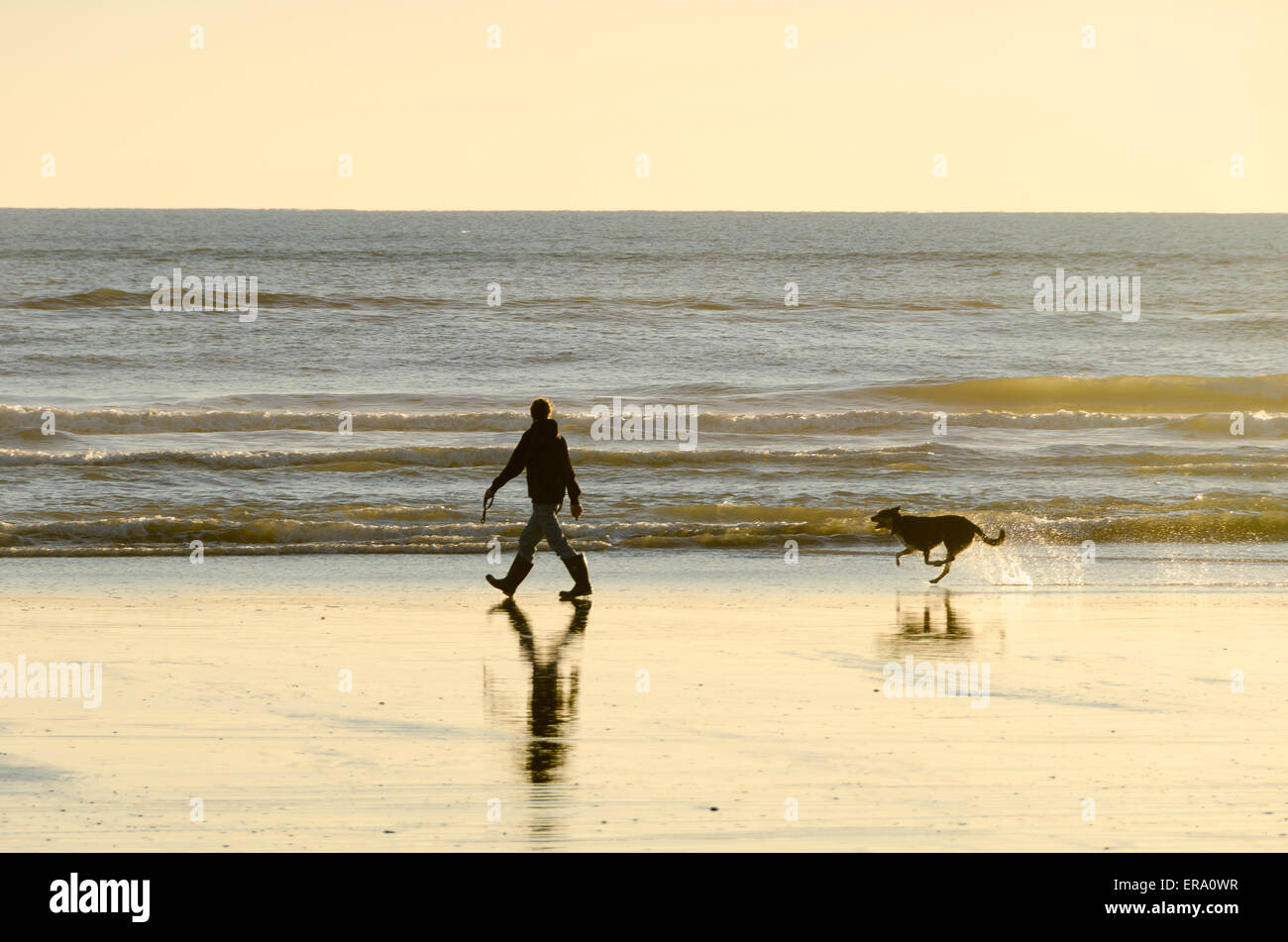 Man Walking dog on beach, Plage, Himatangi Manawatu, île du Nord, Nouvelle-Zélande Banque D'Images