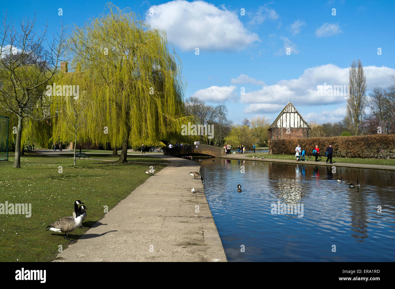 Dh Rowntree york yorkshire Park Parc des Neiges chemin Duck Pond uk printemps spring garden espace public ville Banque D'Images