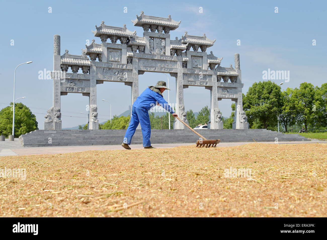 Un agriculteur travaille dans un carré pour sécher le blé à Xiangfan, province de Hubei, Chine, le 24 mai 2015. Banque D'Images