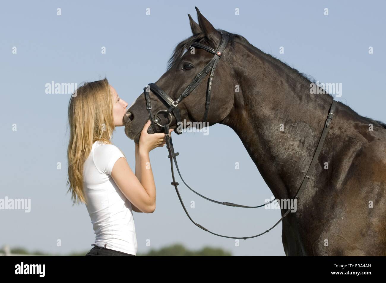 Femme Se Fais Baiser Par Un Cheval Femme baiser par un cheval Banque de photographies et d’images à haute
