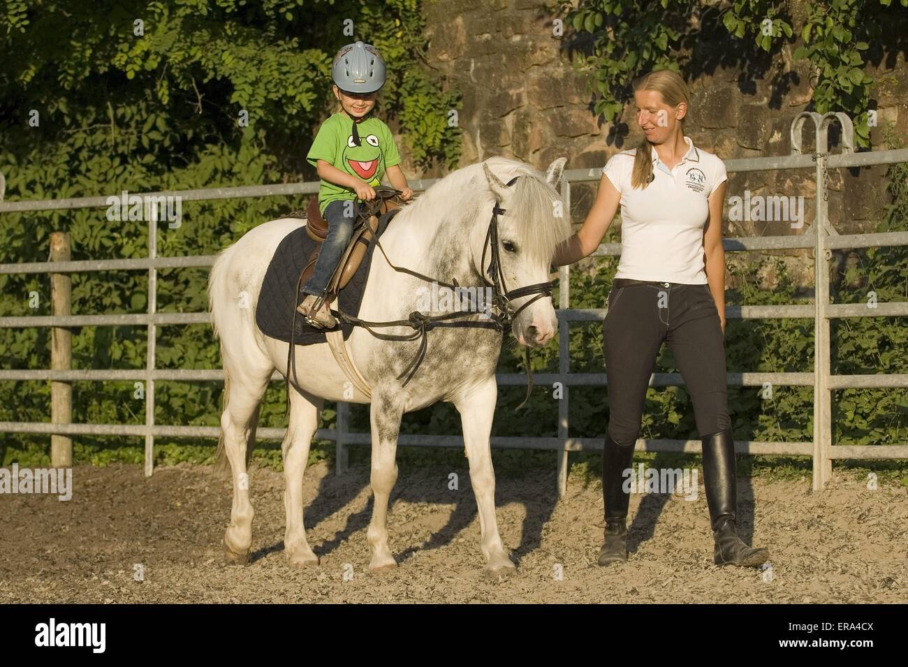 Trotteur un poney Banque D'Images