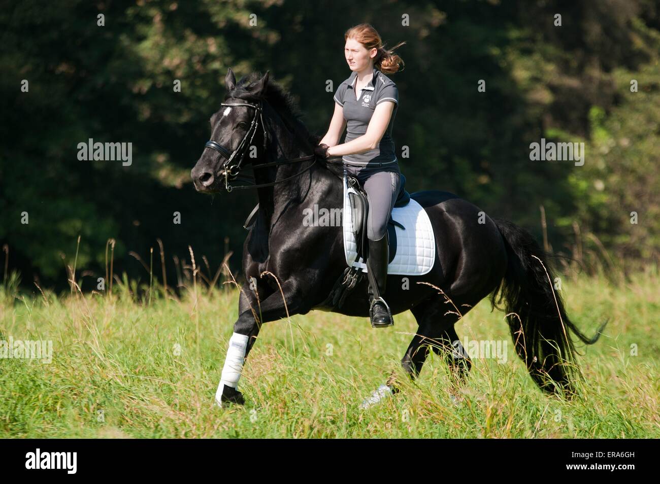 Des promenades en cheval de sport allemand femme Banque D'Images