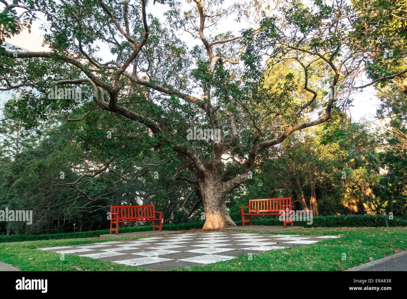 D'échecs en plein air et des chaises rouges dans un parc de la ville de Brisbane. Banque D'Images