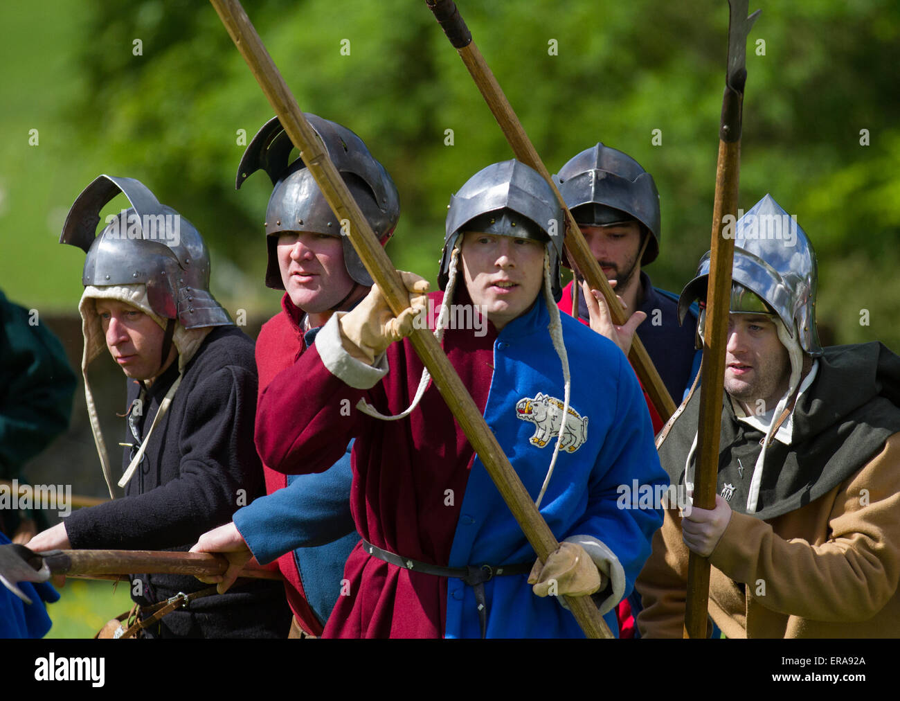 L'escouade de soldats armés ou de piquiers, à la guerre des Deux-Roses re-enactment par Sir John Saviles ménage et groupe du 15e siècle. Hoghton Tower Preston transformée avec living history affiche d'artisans, de soldats et de la vie quotidienne de l'époque d'Elizabeth Woodville (la Reine Blanche) et Richard III, connu sous le nom de cousins, la guerre ou la guerre des roses a été la lutte dynastique entre les ménages de royal york et Lancaster qui revendiquent tous deux leur droit à l'état de leurs liens avec l'usurpa Édouard III. Banque D'Images