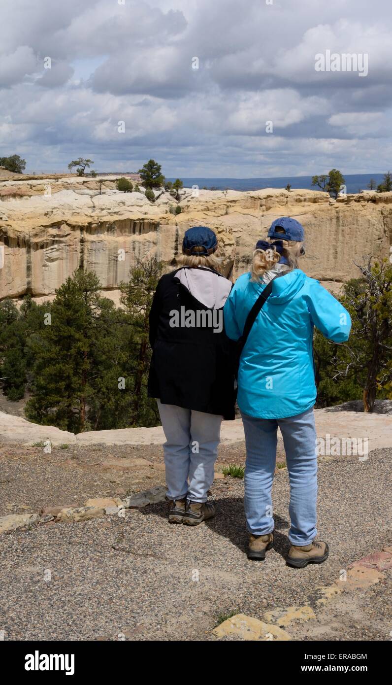 Les amis de grès de la vallée surplombant bluff à El Morro National Monument Nouveau Mexique - USA Banque D'Images