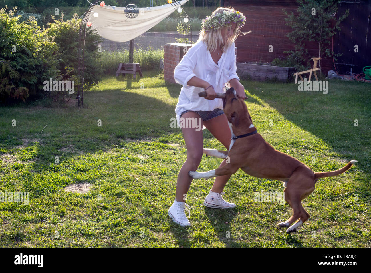 Jeune femme jouant avec un chien Banque D'Images