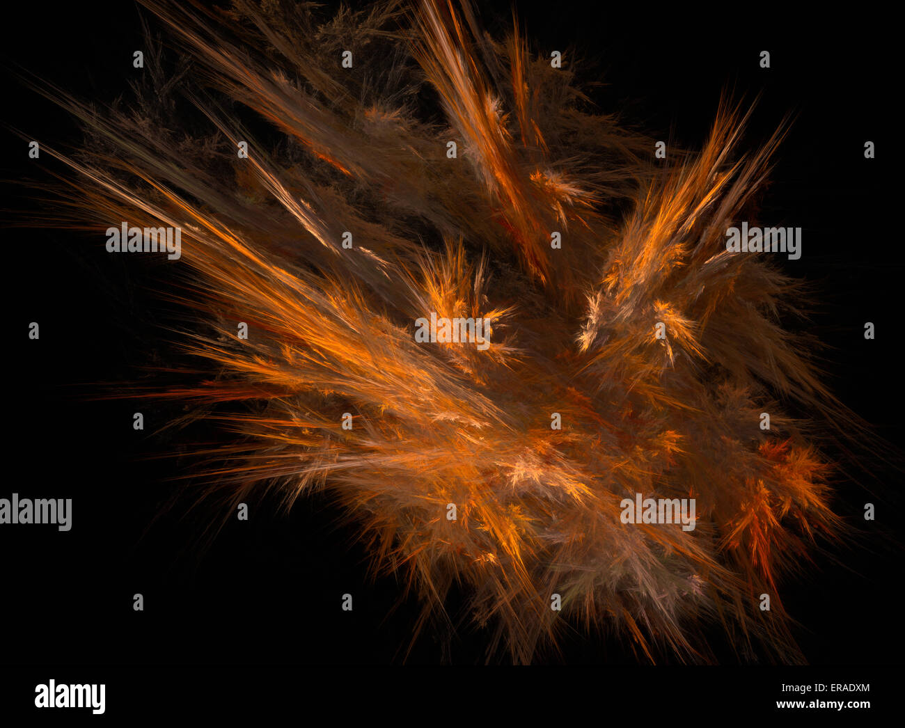 De l'incendie en vol des oiseaux. Banque D'Images