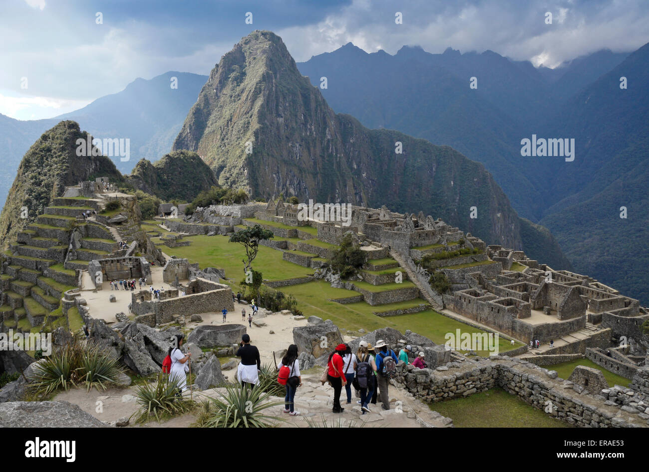 Les touristes donnant sur les ruines Incas de Machu Picchu, Pérou Banque D'Images