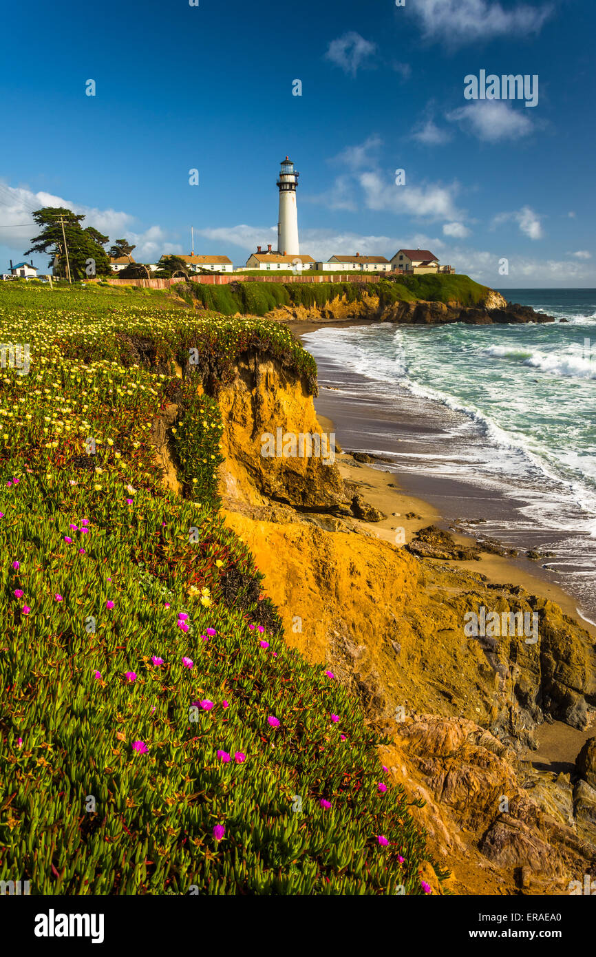 Fleurs et vue sur Piegon Point Lighthouse à Pescadero, California. Banque D'Images