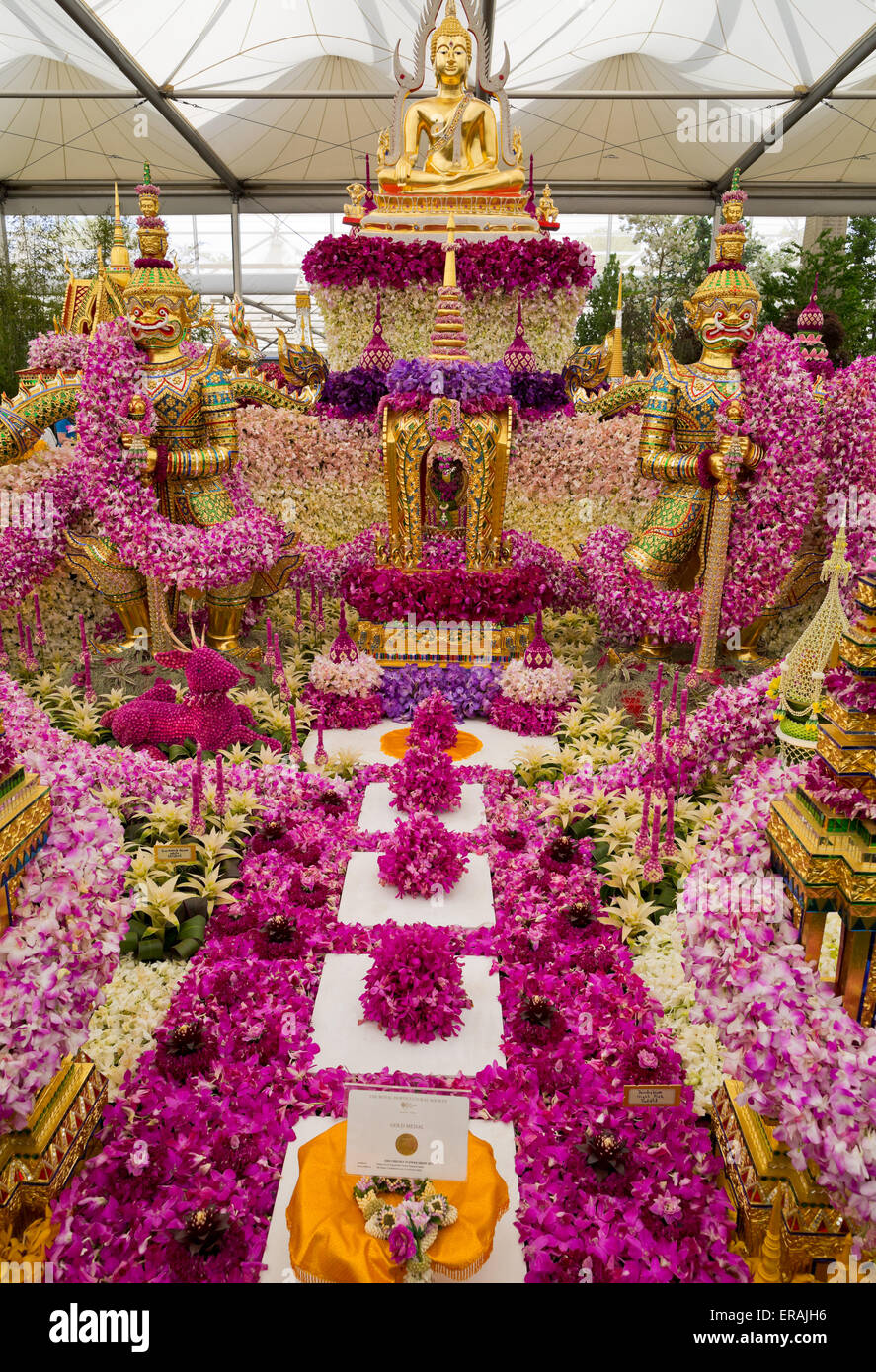 La Thaïlande à l'affichage de fleurs Grand Pavillon à la RHS Chelsea Flower Show 2015 Banque D'Images