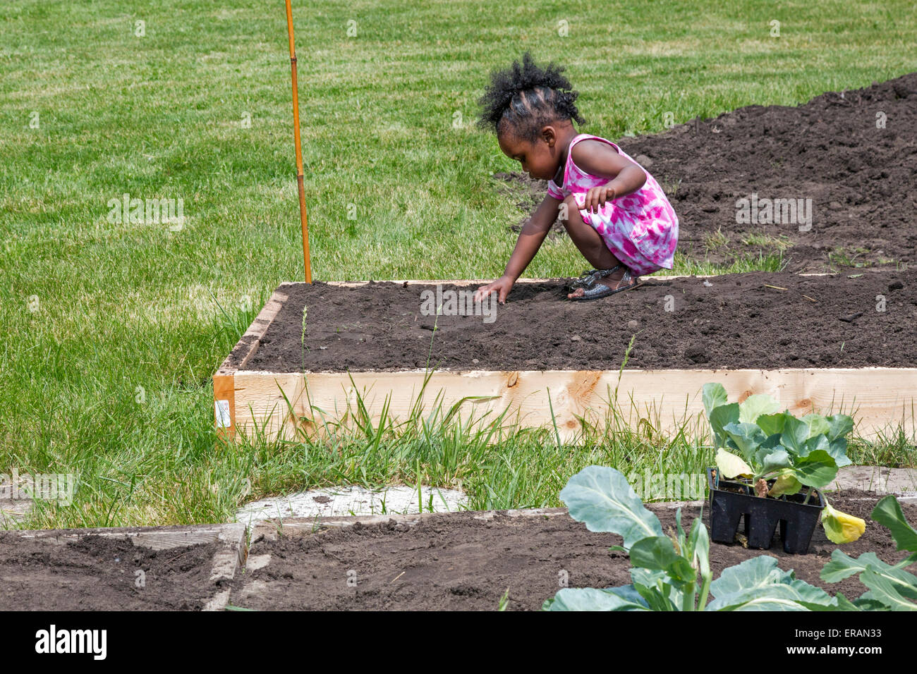 Detroit, Michigan - une jeune fille aide en tant que membres de St. John's Presbyterian Church planter un jardin communautaire. Banque D'Images