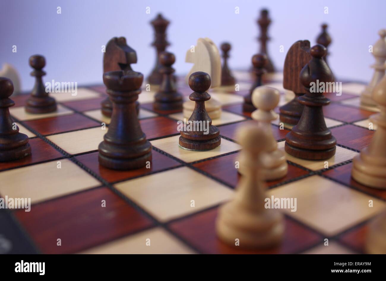 Jeu d'échecs. Pièces d'échecs sur un échiquier Banque D'Images