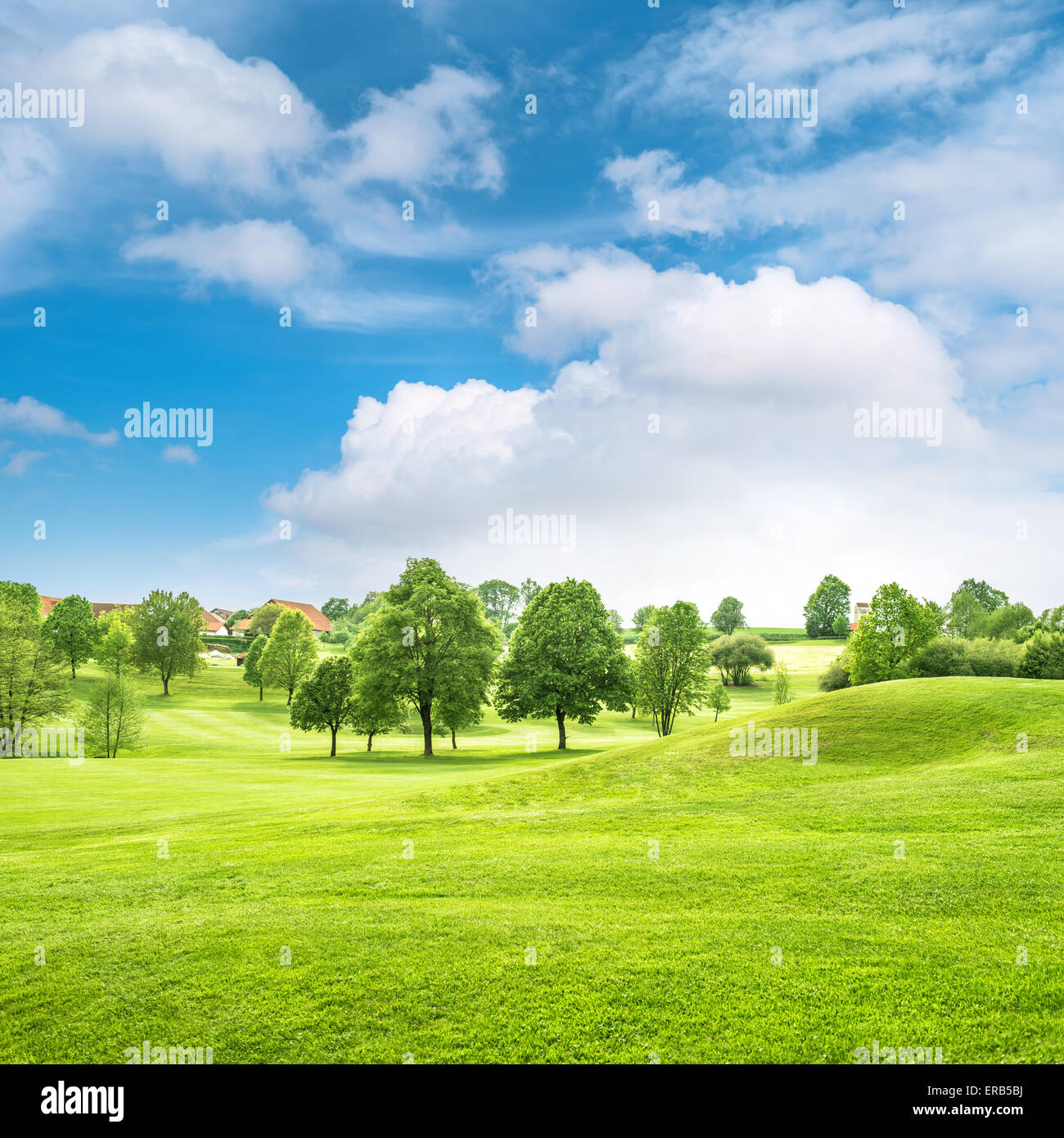 Beau paysage de Bavière. Champ de printemps avec de l'herbe bien verte et ciel nuageux ciel bleu. Campagne Banque D'Images