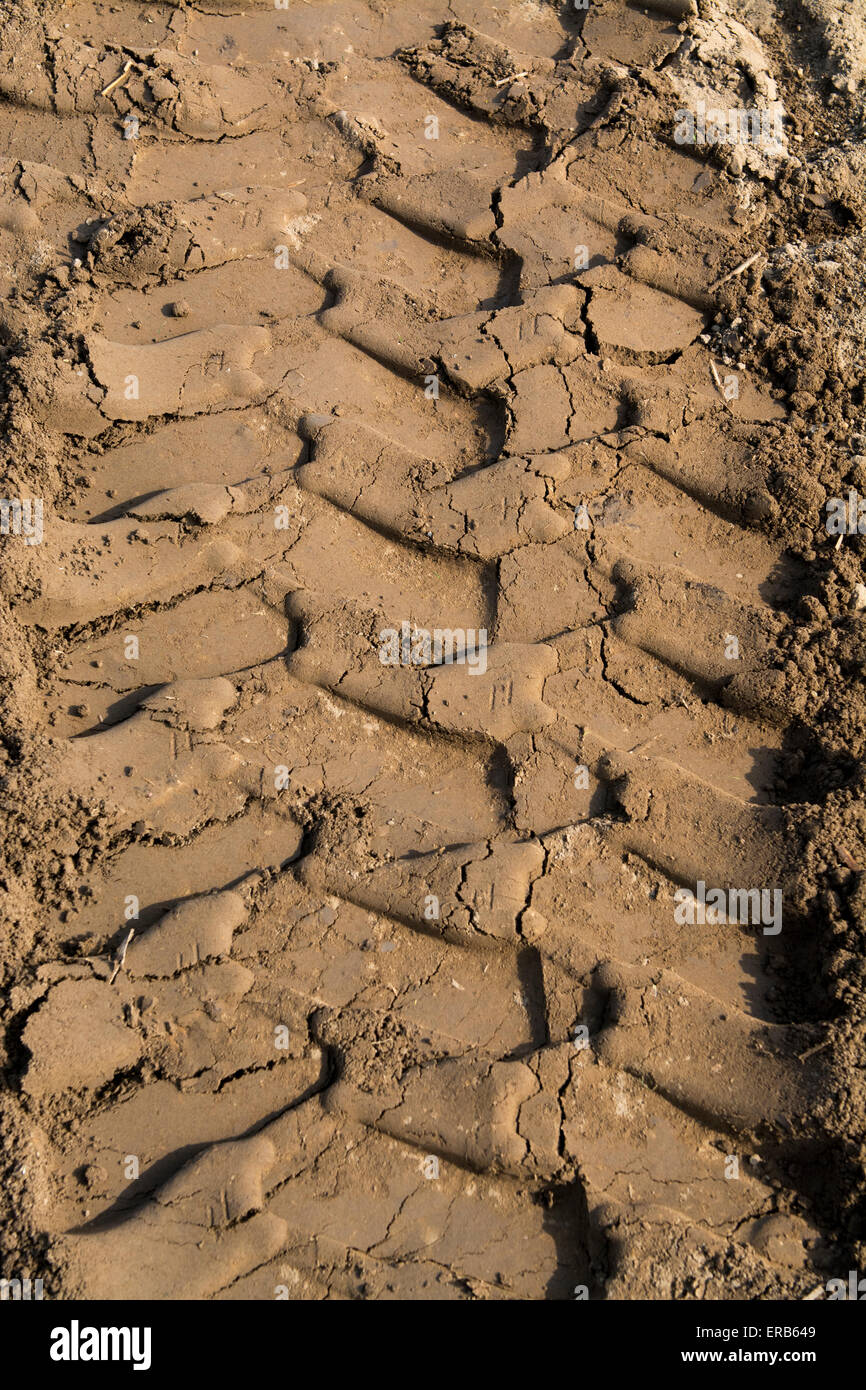 Le pneu du tracteur treadmarks sur sol en pointe en champ arable, UK. Banque D'Images