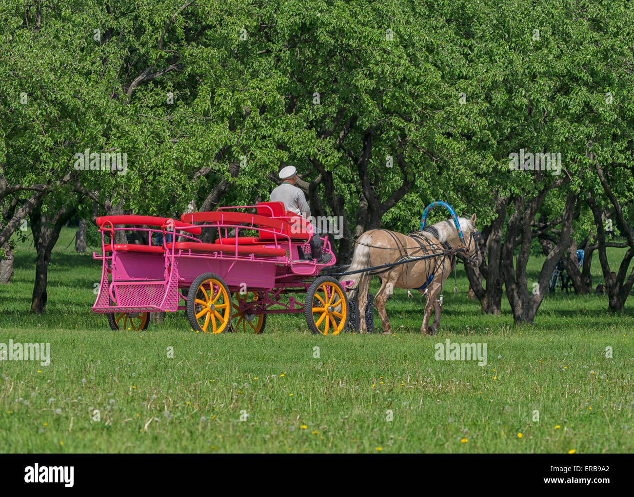 Parc Kolomenskoye à Moscou, Russie Banque D'Images