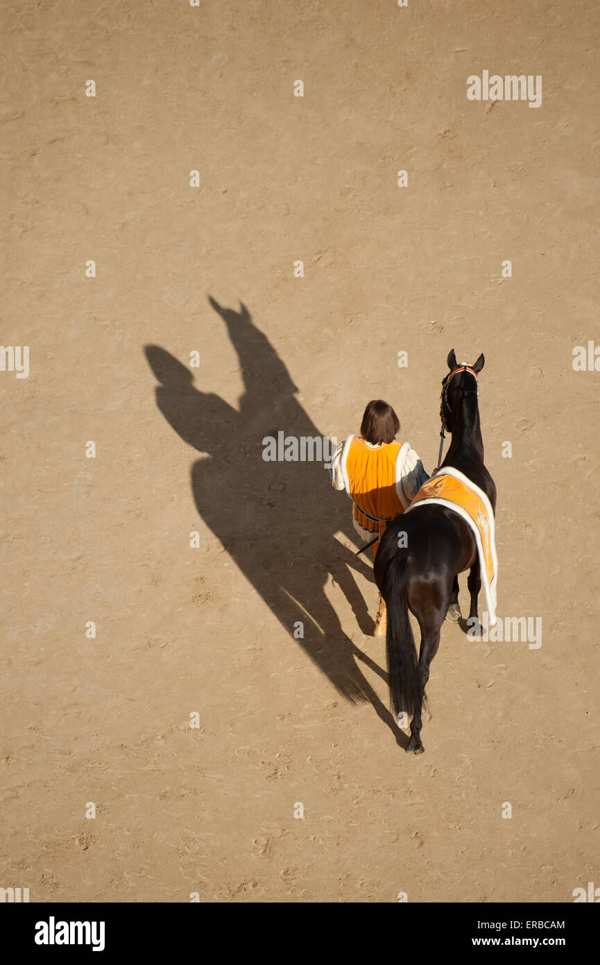 L'homme en costume historique défilant un cheval avant le Palio di Siena, Sienne, Toscane, Italie Banque D'Images