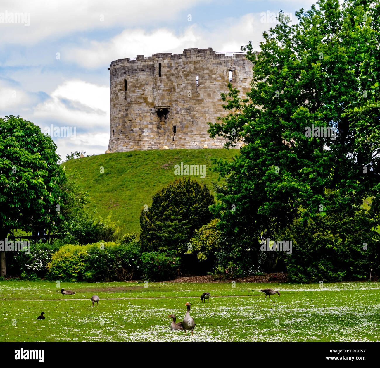 Vue sur la Tour de Clifford de parkland du côté est de la rivière Ouse à Skeldergate Bridge, ville de York, England, UK Banque D'Images