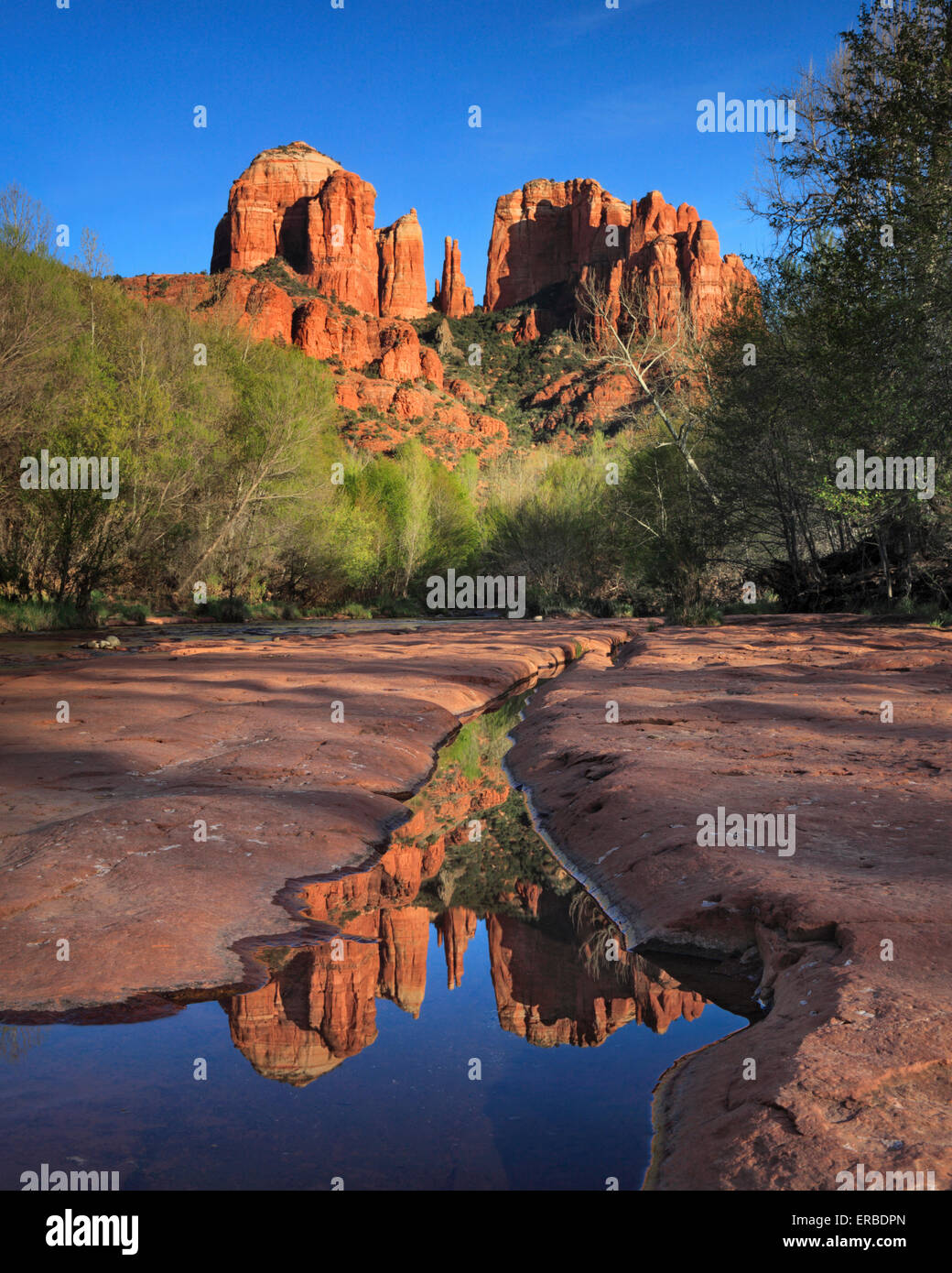 Cathedral Rock reflète dans Oak Creek comme vu au Red Rock Crossing à Sedona, Arizona Banque D'Images