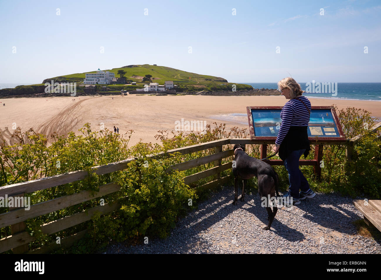 Marcher un lévrier sur la plage à Bigbury-on-Sea. Ile de Burgh et l'Art Déco de l'hôtel Ile de Burgh dans l'arrière-plan, Banque D'Images