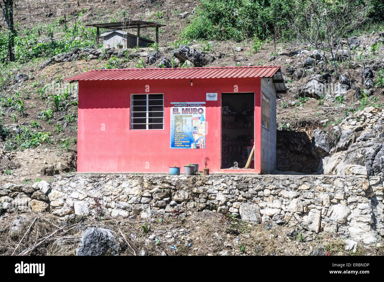 Tout nouveau rose flamboyant Petite épicerie rural route avec œufs et autres aliments de dentifrice jambon près d'Ocosingo Chiapas Banque D'Images