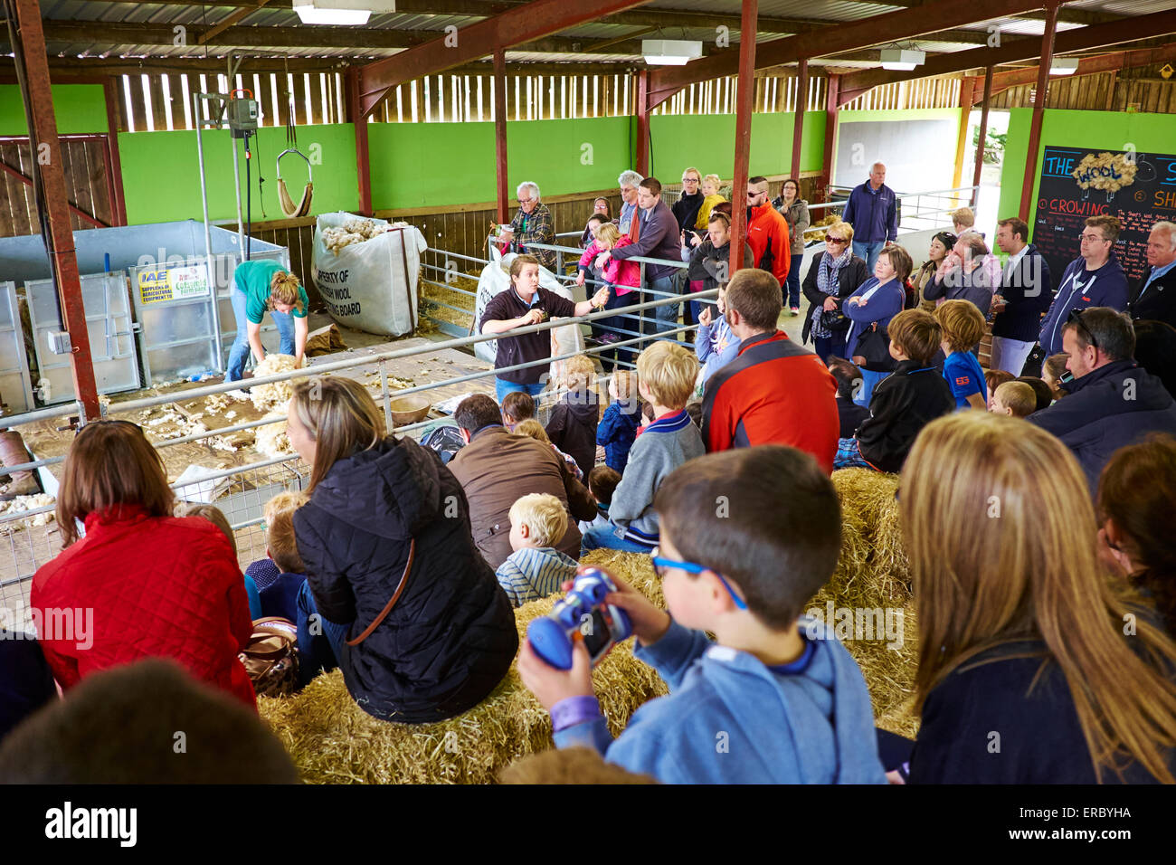 Démonstration de la tonte des moutons à Cotswold Farm Park Farm Bemborough Kineton UK Banque D'Images