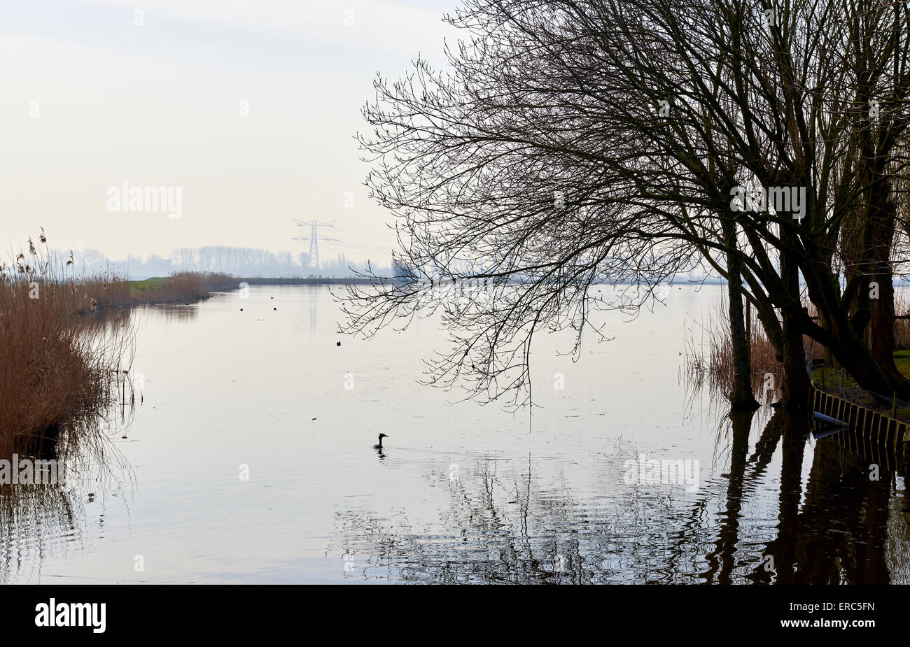 Vue sur une petite rivière appelée la Rotte. La Rotte est un homonyme de la ville de Rotterdam. Banque D'Images