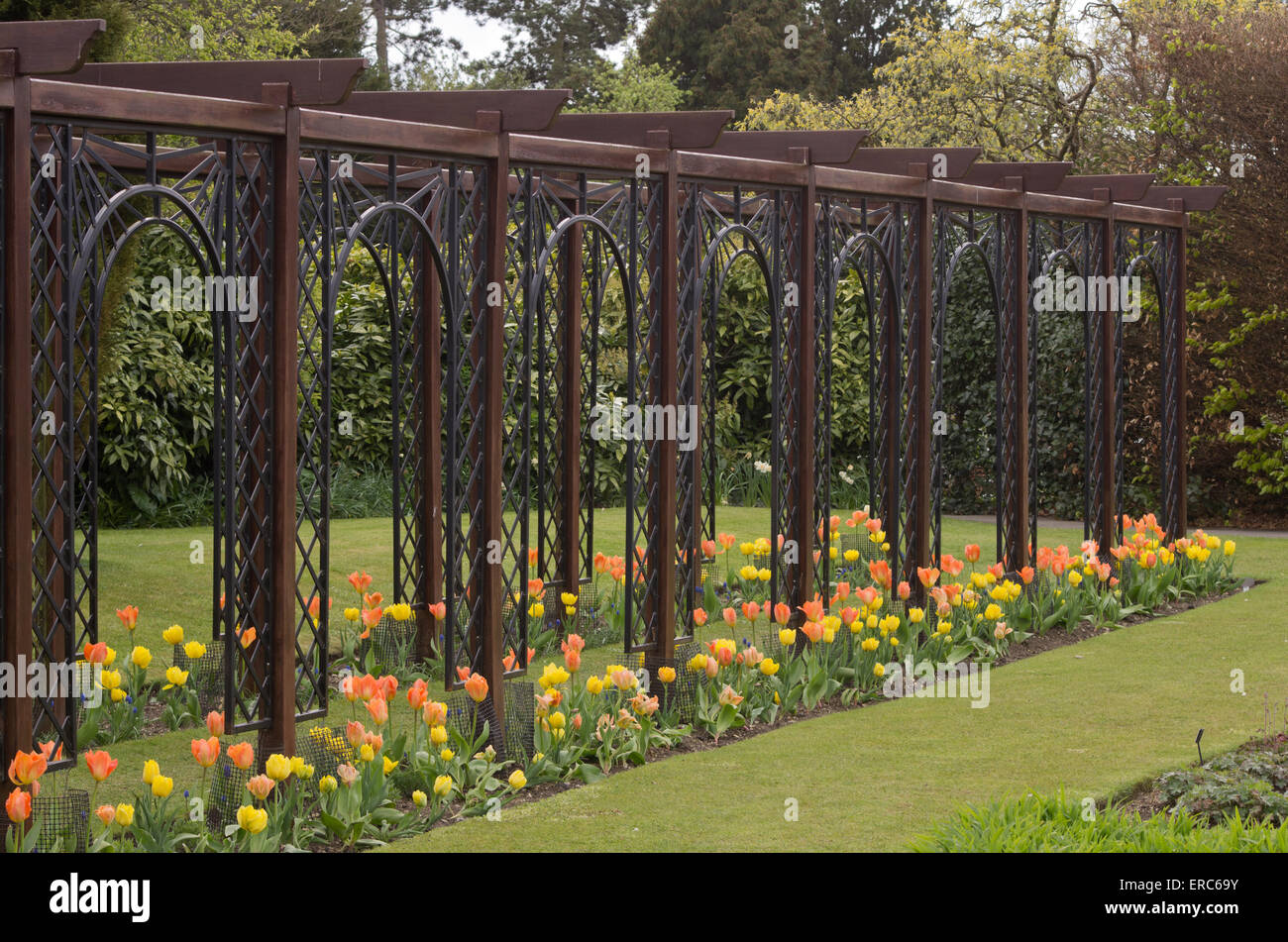 Pergola Banque D'Images