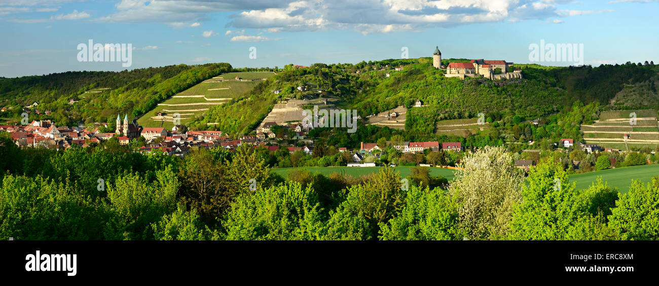 Panorama de Freyburg avec Neuchâtel Château, Stadtkirche Saint Marien et vignes ducales, Freiburg, Burgenlandkreis, Saxe-Anhalt Banque D'Images