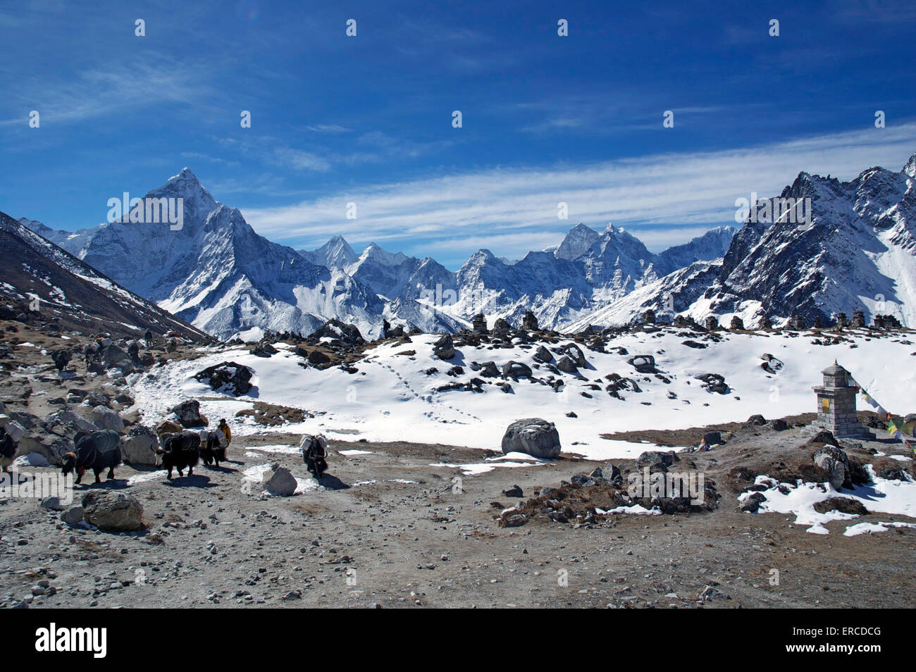 Paysage de l'Himalaya, parc national de Sagarmatha (Népal) Banque D'Images