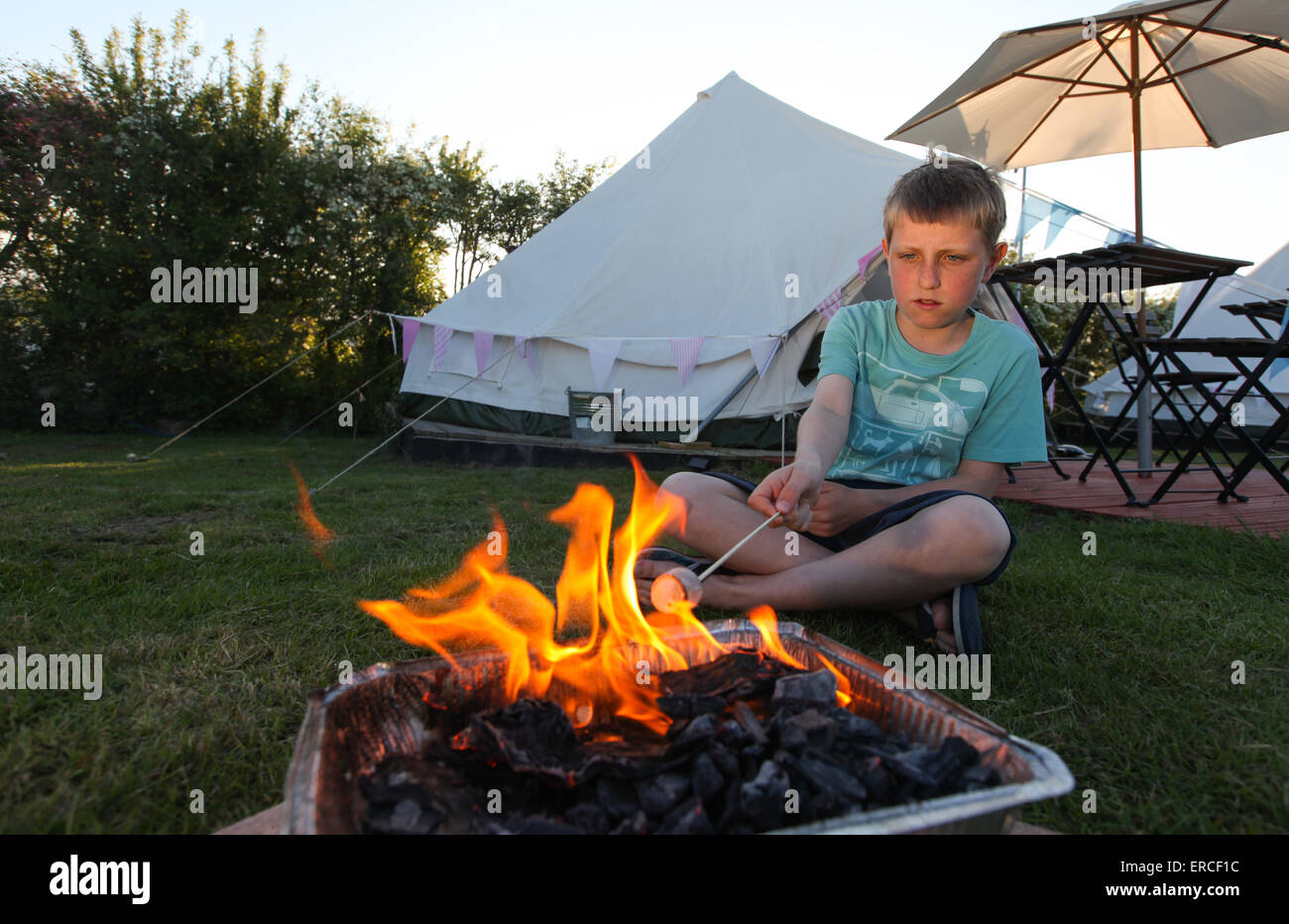 Un garçon toasting marshmallows tout en camping au Royaume-Uni Banque D'Images