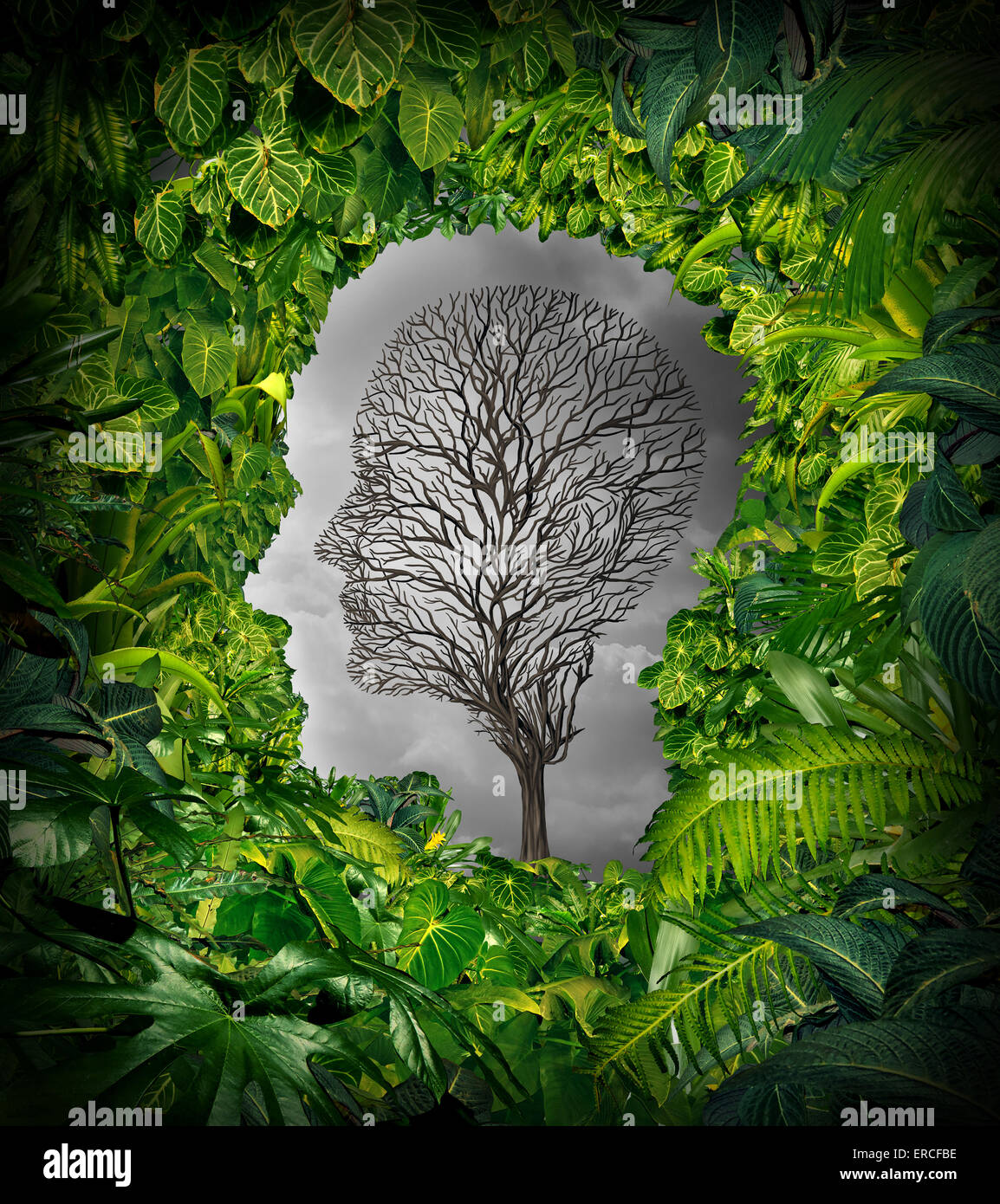 La dépression à l'intérieur concept et sentiments de détresse intérieure comme un symbole de la santé mentale avec une plante verte en forme de fenêtre de la jungle comme une tête humaine et un arbre mort comme un visage souffrant pour la psychologie de l'examen. Banque D'Images