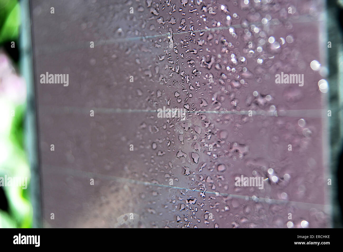 Les gouttes d'eau de douche pluie sur panneau solaire à jardin Banque D'Images