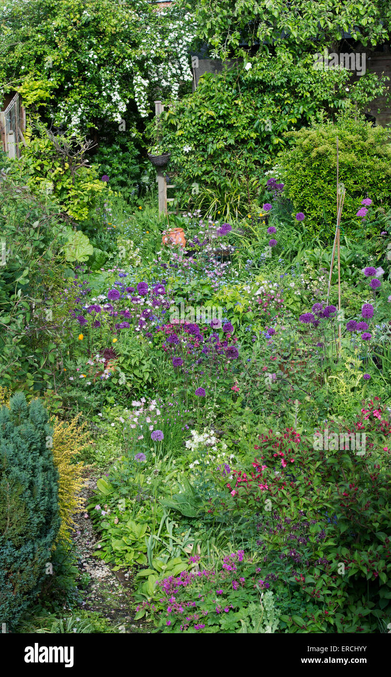 Petite ville anglaise en terrasses jardin urbain en pleine floraison. UK Banque D'Images