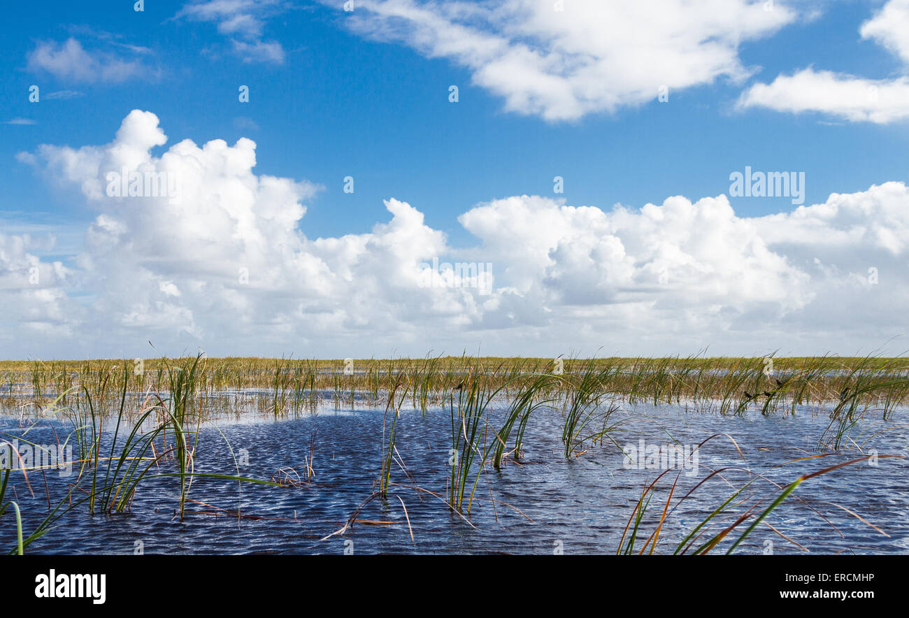 Le Parc National des Everglades, Floride Banque D'Images
