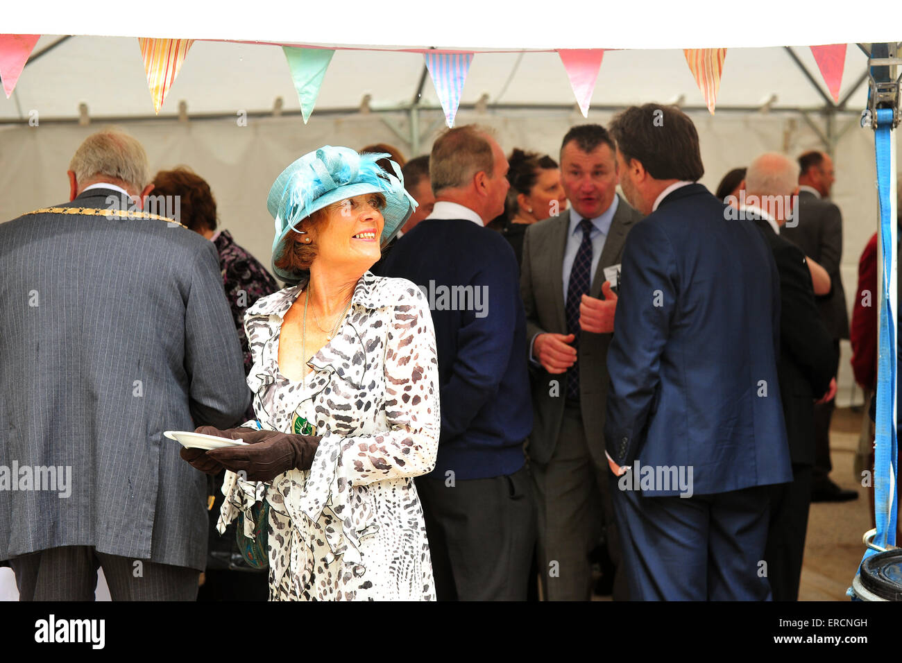 Bristol, Royaume-Uni. 1er juin 2015 la Princesse Royale ouvre le pont suspendu de Clifton de neuf Centre d'accueil. En 2015, le pont emblématique célèbre son 150e anniversaire des et le nouveau centre des visiteurs est partie d'un £1,9 millions de Cour Pont qui comprend l'éducation et le développement des lieux d'exposition ainsi qu'une boutique. Credit : Jonny White/Alamy Live News Banque D'Images