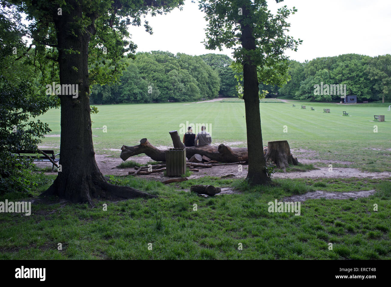 Deux hommes parler à Highgate Woods Banque D'Images