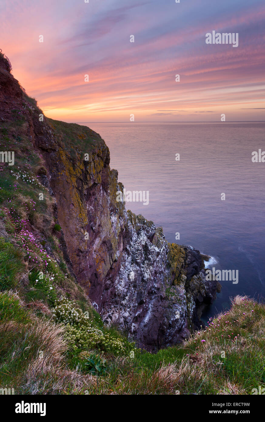 Coucher de soleil derrière les falaises de la mer du Nord à St Abbs Head Nature Reserve Banque D'Images