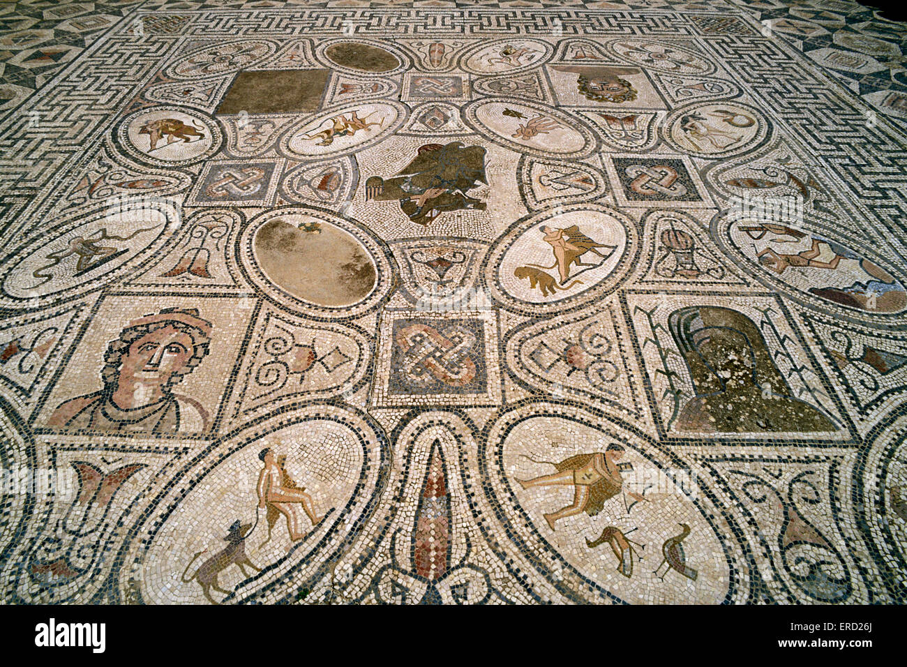 Maroc, Volubilis, Maison des travaux d'Hercule, mosaïque romaine Banque D'Images