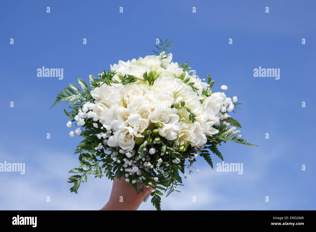 Bouquet de fleurs blanches Banque D'Images