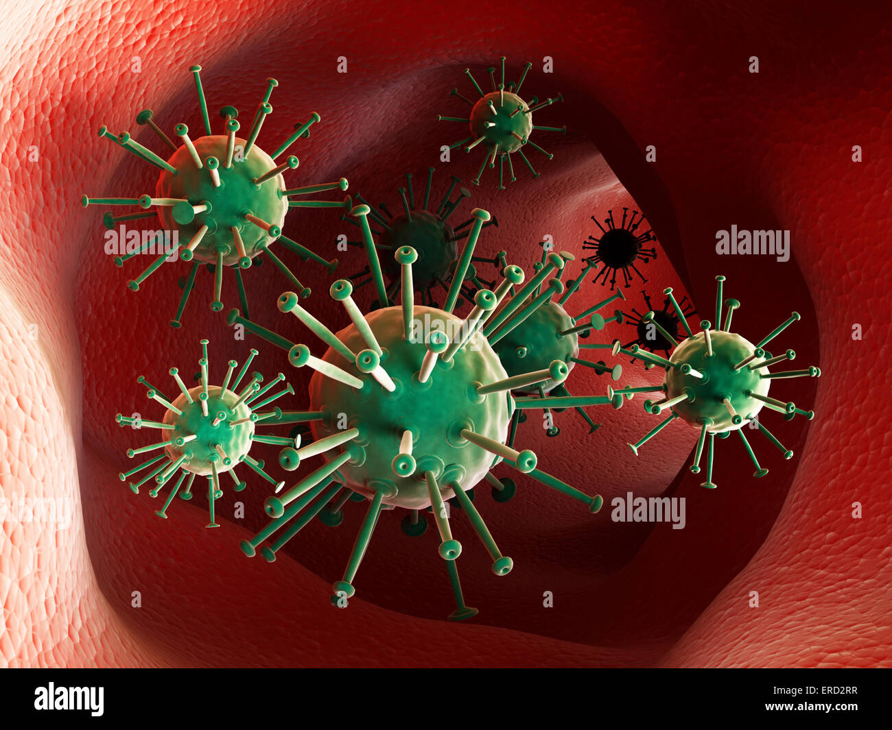 Les virus vert insiden veine humaine. Banque D'Images