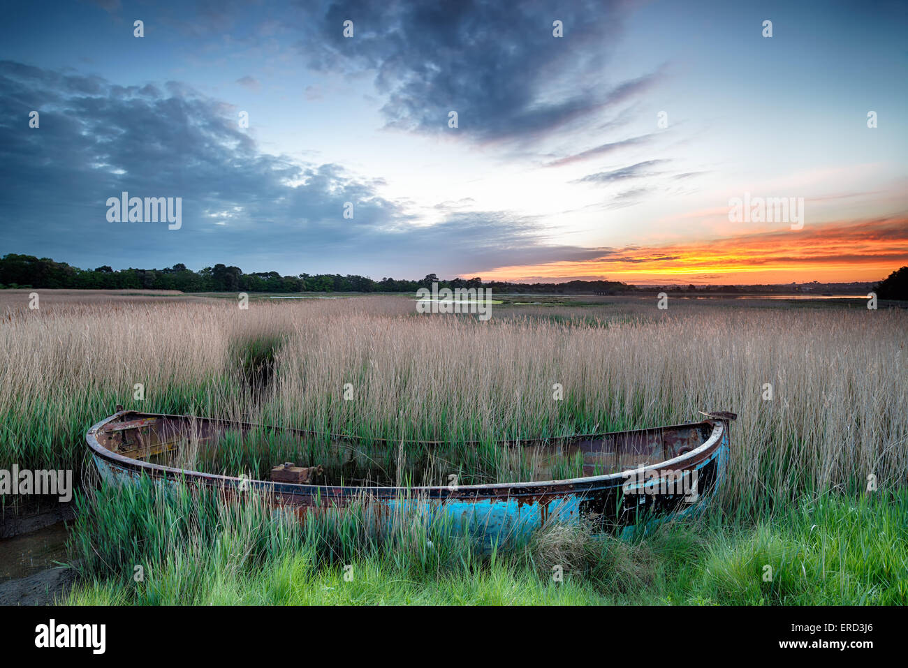 Lever de soleil sur un vieux bateau de pêche échoués dans des roseaux à Poole Harbour, sur la côte du Dorset Banque D'Images