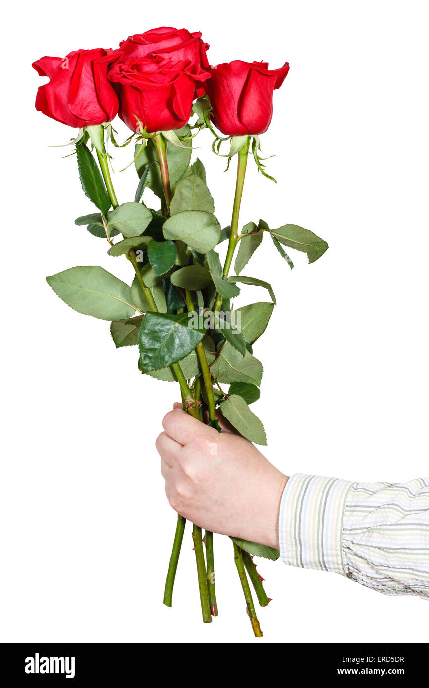 La main des hommes bouquet de cinq roses rouges isolé sur fond blanc Photo  Stock - Alamy