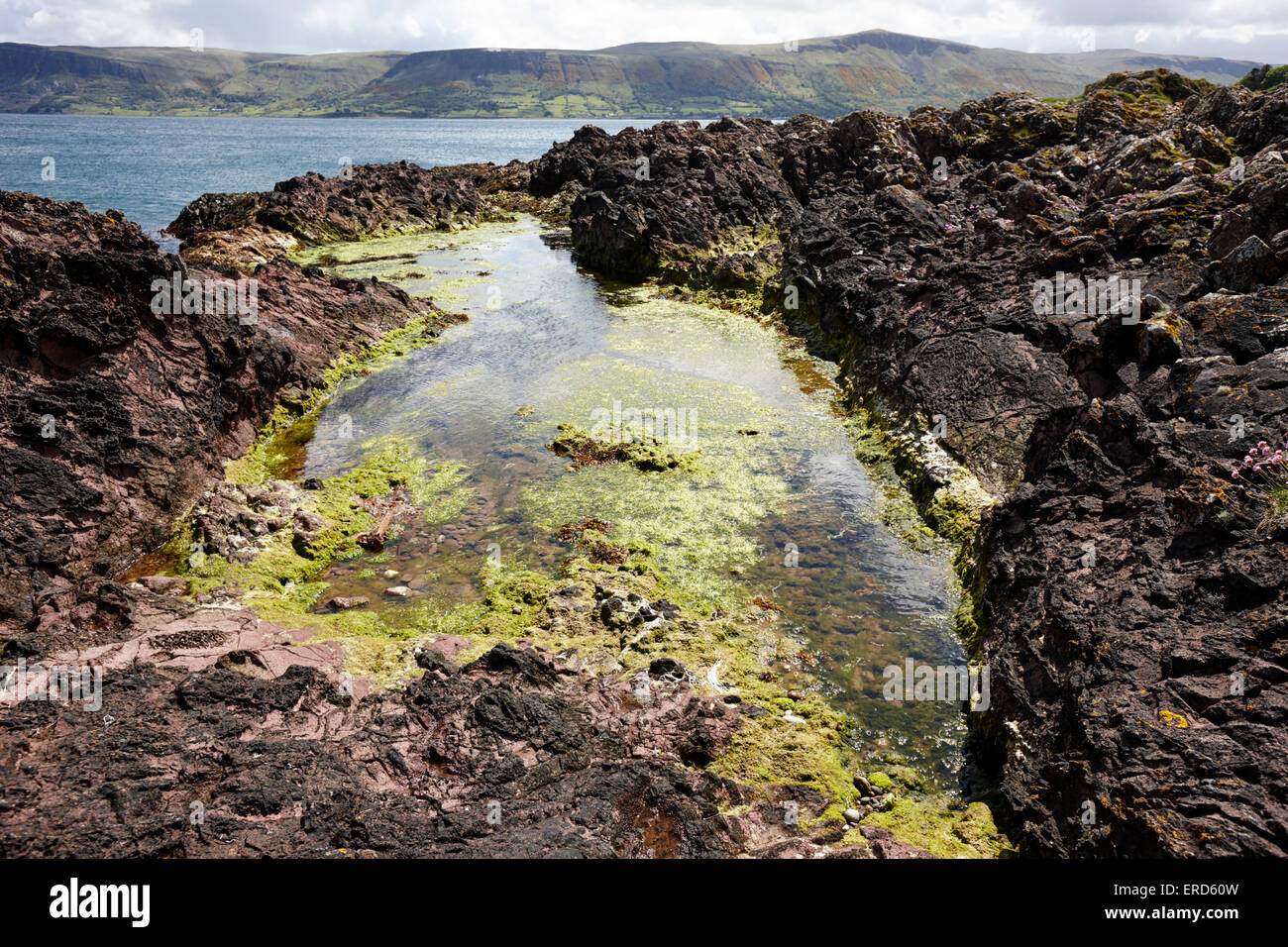 Grande piscine dans la roche dacite rose des pierres à Limerick Cushendall point le comté d'Antrim en Irlande du Nord UK Banque D'Images