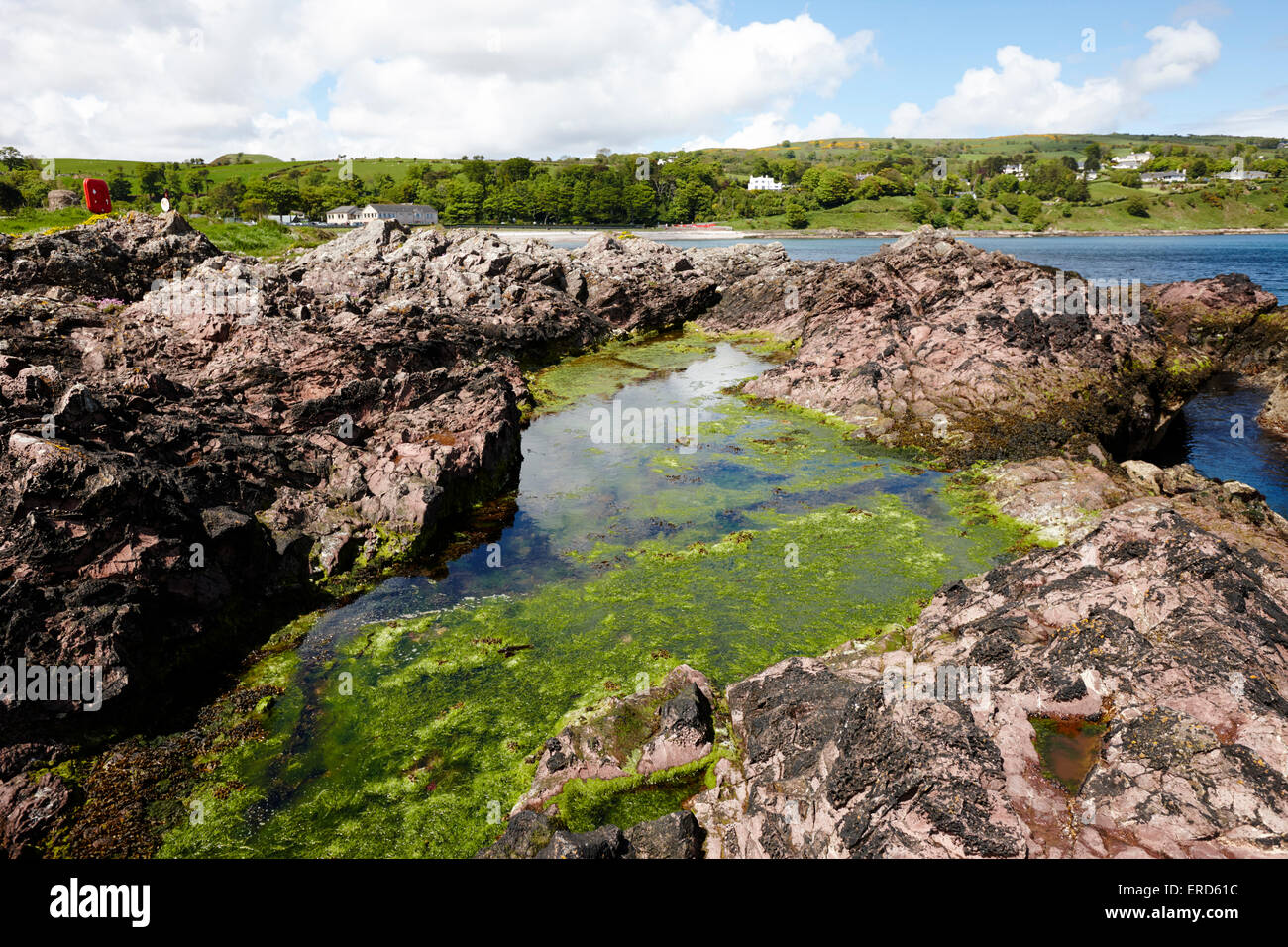 Grande piscine dans la roche dacite rose des pierres à Limerick Cushendall point le comté d'Antrim en Irlande du Nord UK Banque D'Images