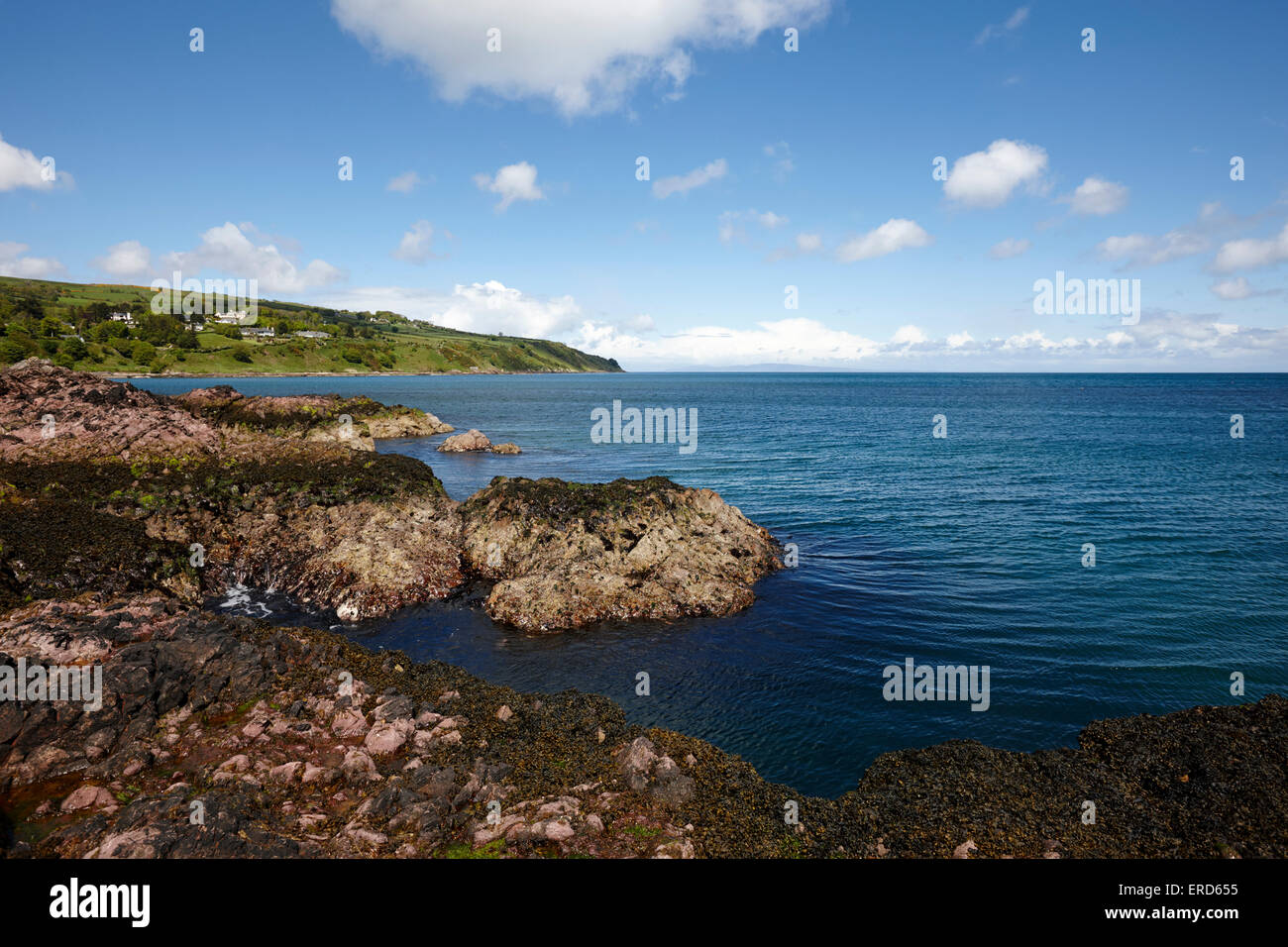 Les roches de dacite rose promontoire à Limerick Cushendall point le comté d'Antrim en Irlande du Nord UK Banque D'Images