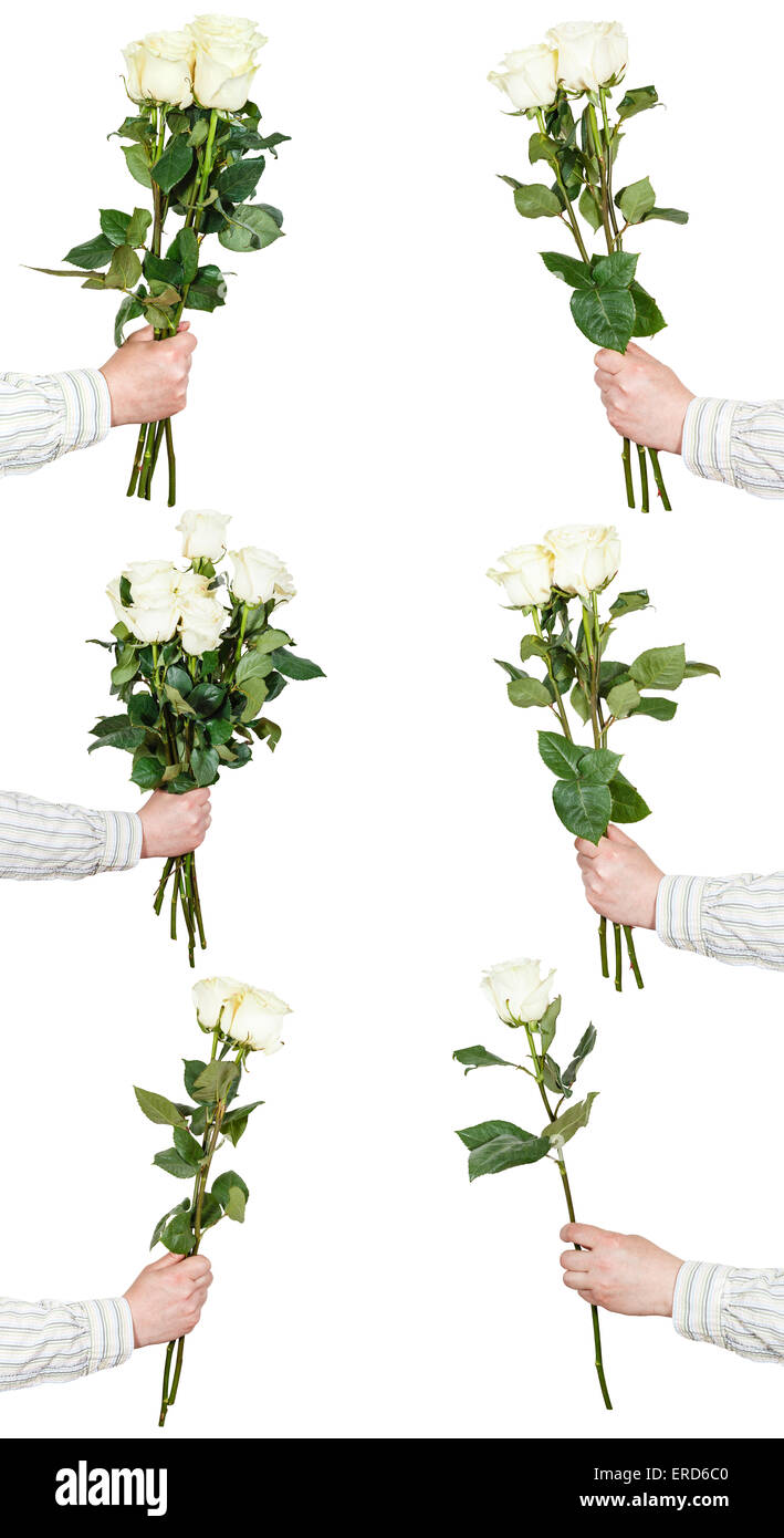 Ensemble de bouquets de fleurs rose blanc isolé sur fond blanc Banque D'Images