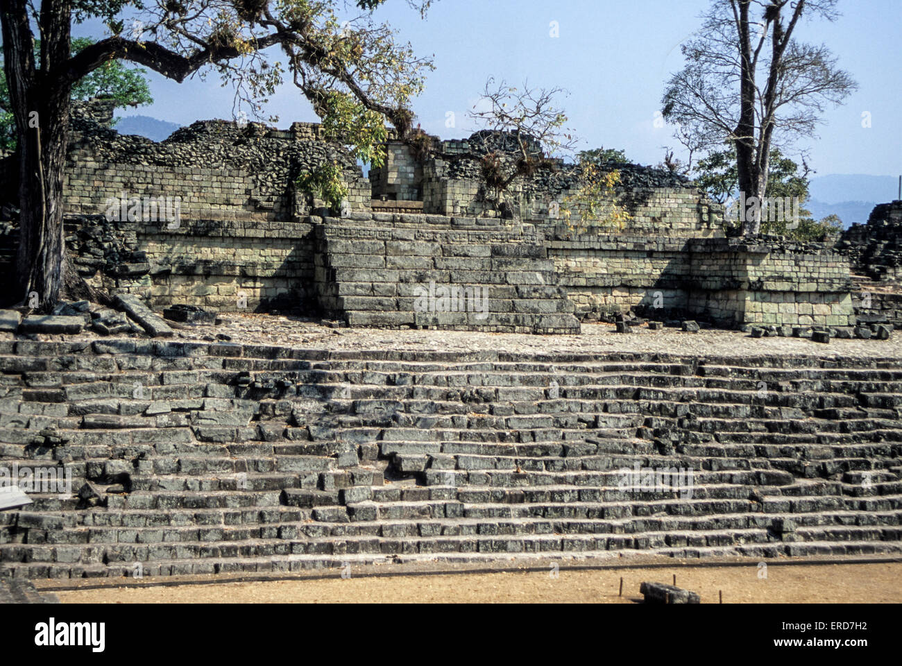 Les ruines de Copan, Honduras. 22 Temple Place au Jaguar. Banque D'Images