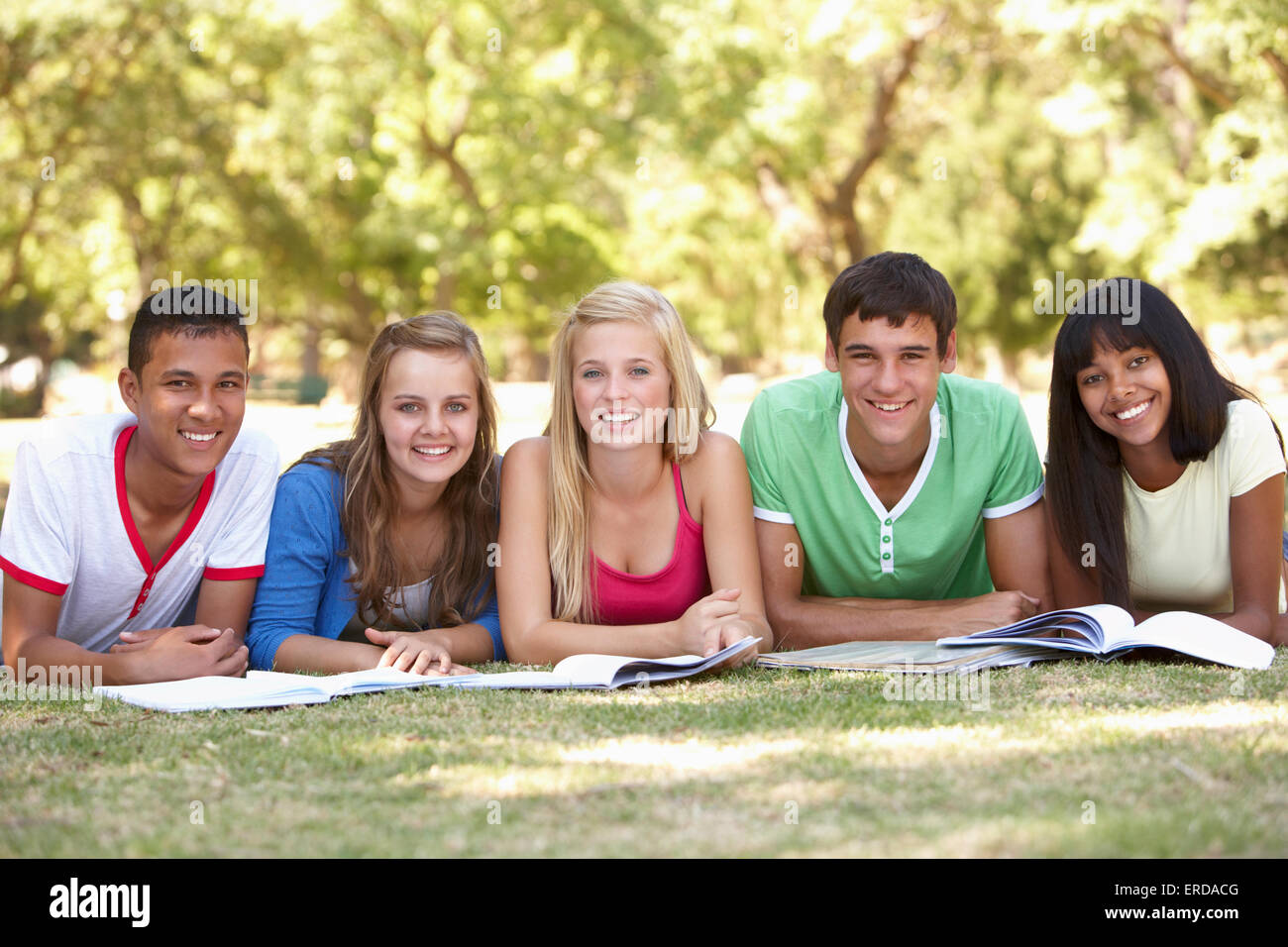 Groupe d'amis adolescents étudient au Park Banque D'Images