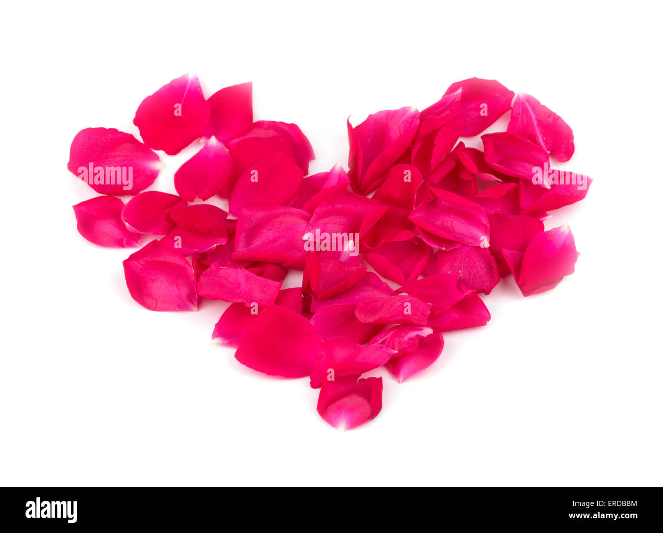 Forme de coeur faite de pétales de rose à rouge vif, sur fond blanc Banque D'Images