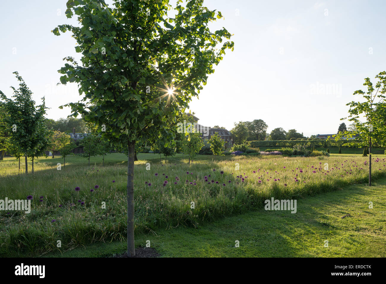 Kensington Palace, Kensington Gardens, Londres. Banque D'Images